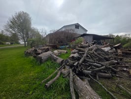 32599882