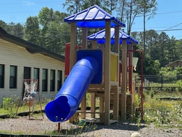 32650053