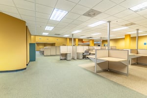 32609721