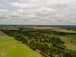 32609608