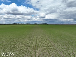 32615742