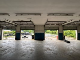 32615981