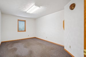 32617541