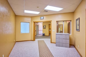 32619868