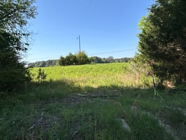 32620002