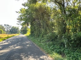 32620004