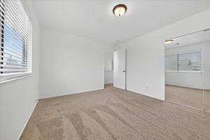 32620273