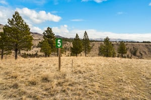 32622981