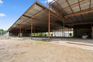 32632161