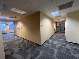 32633808