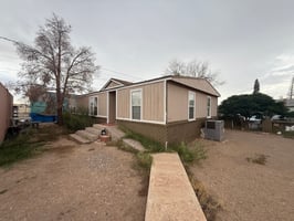 33500446