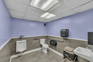 32635733