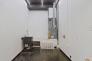 32635853