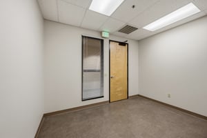 32637501