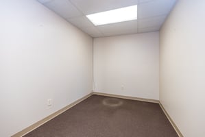 32784047