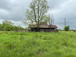 32640069