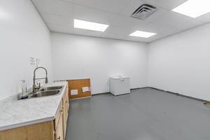 32642053