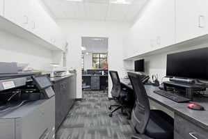 32646003