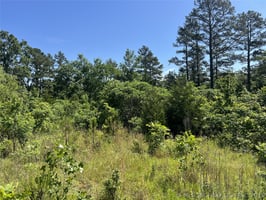 32646585