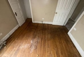 32648077