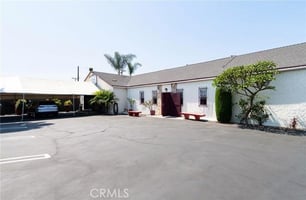 32649099