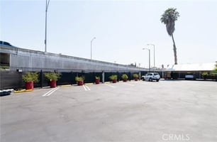 32649098