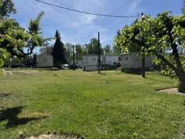32650131