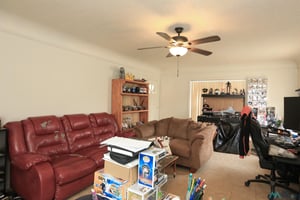32650462