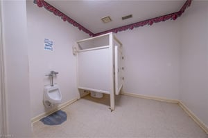 32652929