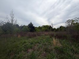 32654666