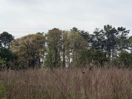 32654680