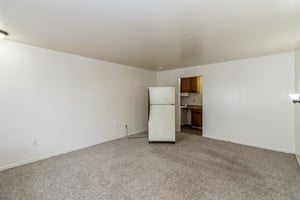 32655012