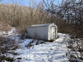 32655481