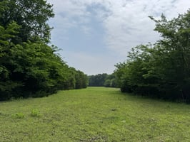 32660830