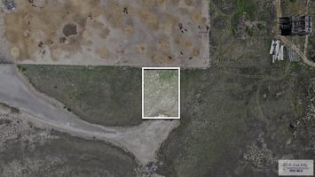 33493151