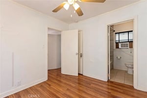 32902982