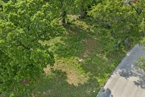32798977