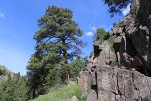32676513
