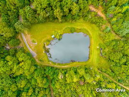 32678517