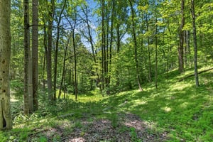32678646
