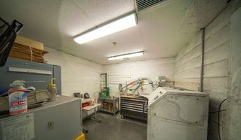 32684397