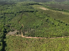 32723299