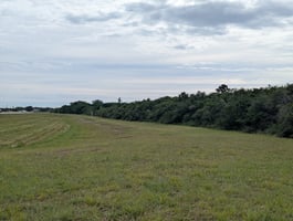 33174715