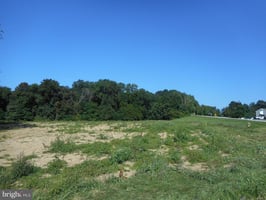 34004305