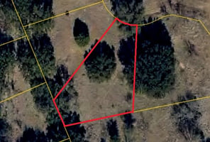 34044571