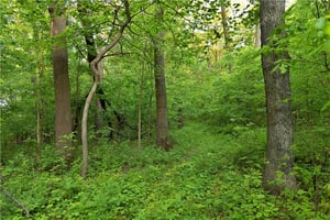 32740360