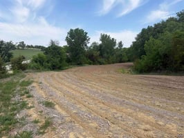 32741592