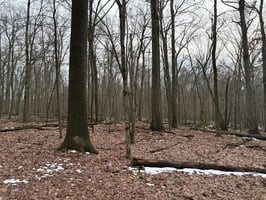 32745719