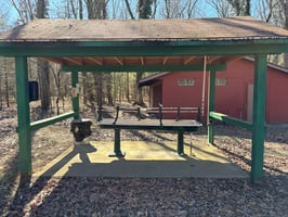 32745727