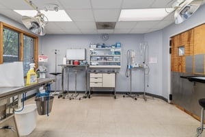 32749337